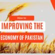 Improving the economy of Pakistan in 2024 Its Possibilities