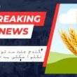 Wheat Can Be Extracted From The Heaven, Not From The Government of Pakistan