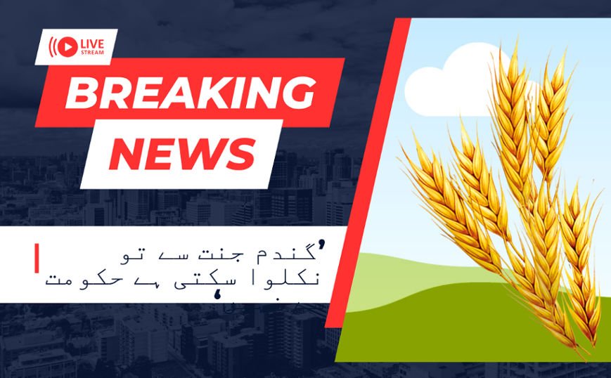 Wheat Can Be Extracted From The Heaven, Not From The Government of Pakistan